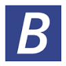 Brant Automotive Group Inc