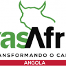 BrasAfrica (Viana)