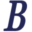 Bravo Systems Inc