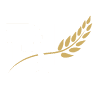 Bread of Life Church