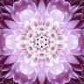 Breathe True Yoga