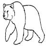 Breck Bears