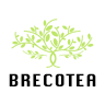 Brecotea