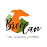 Breocan Actividades y Educación Canina