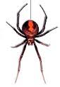 Bretts Pest Control Port Macquarie