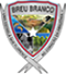 City of Breu Branco