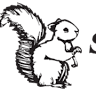 White Squirrel Realty & Rentals