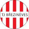 TJ Březiněves