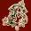 Briarcliff Dental Care