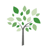 Briarwood Dental
