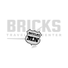 Bricks