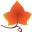 Bridges to Wellbeing (Mount Barker)