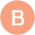 BRIGHTECH COMPUTER SYSTEM