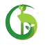 Brightly Green Household Cleaners