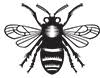 The Honeybee Embassy