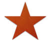 Bright Star Antiques Auction House