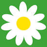 bringblumen berlin