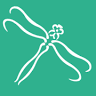 Dragonfly Centre