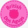 British Dos Aguas: Criadero de British Shorthair