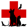 Broadview Animal & Bird Hospital