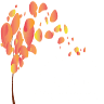 Brockman Boeckman Funeral Home