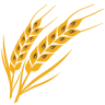 Brodzik Naturalnie