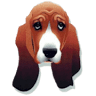 Basset Rescue of Old Dominion