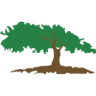 Brookside Nursery