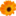 Brownfield Floral