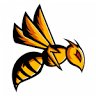 Brown Hornet Fitness