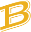 Bruces Sales & Leasing