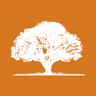 Law Offices of Bryce Cook, PLC