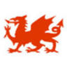 Bryn Dinas Camping Pods