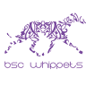 BSC Whippets