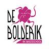Roman Catholic Elementary School de Bolderik