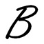 BTM Flooring, Inc. Design Center and Area Rug Gallery