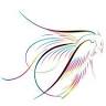 Beyond the Spectrum Photography