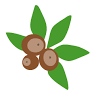 Buckeye Tax and Financial Services, Inc.