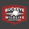 Buckeye Wildlife Solutions