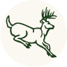 Buck Trail Archers Inc