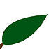 Bud, Branch & Blossom, Landscaping, LLC