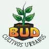 BUD Cultivos Urbanos