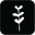 Florist Kilmore Buds & Branches