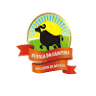 Búfala da Campina Laticínio