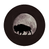 Buffalo Moon Flutes