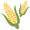 Buford Corn Maze
