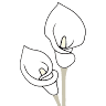 Buhrig Funeral & Cremation, Ltd.