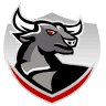 Bull City Signs, LLC