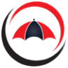 Bulldog Insurance Inc