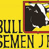 Bull Semen JR